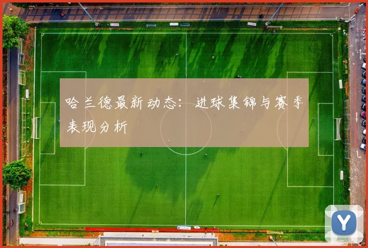 哈兰德最新动态:进球集锦与赛季表现分析