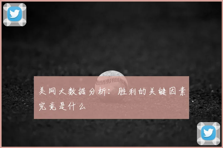 美网大数据分析:胜利的关键因素究竟是什么
