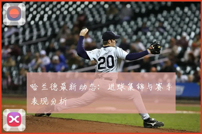 哈兰德最新动态:进球集锦与赛季表现分析